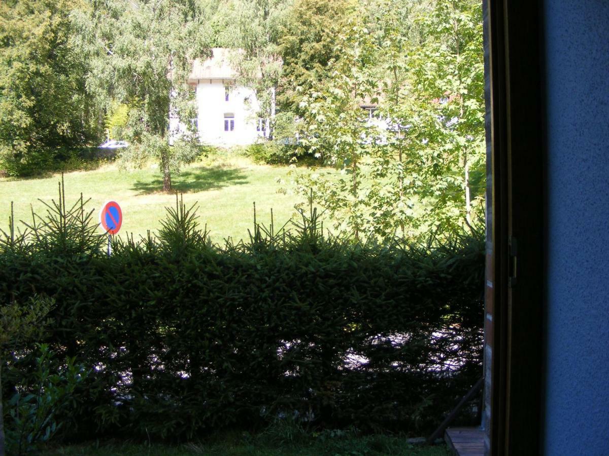 Les Mimosas Apartment La Bresse Luaran gambar